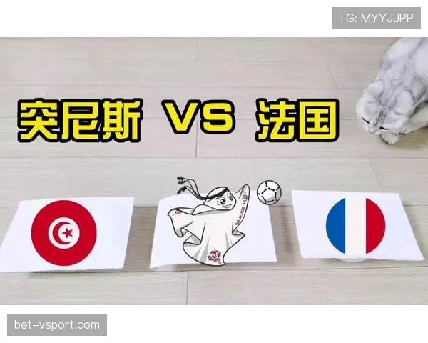 突尼斯世界杯晋级路线图